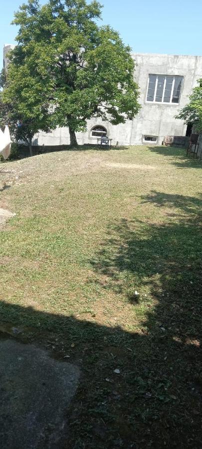 Гостевой Дом В Гагре Gagra Ngoại thất bức ảnh